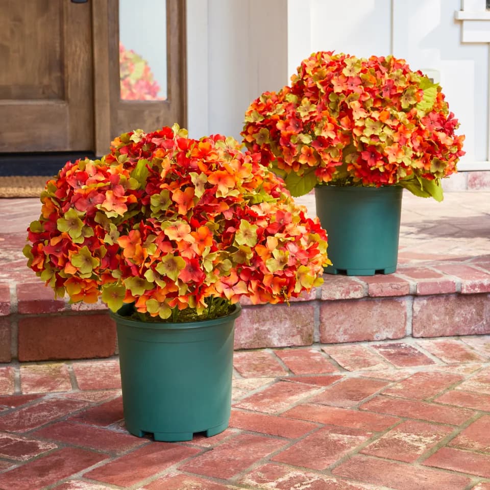 Rustic Hydrangea Foliage Pot Filler