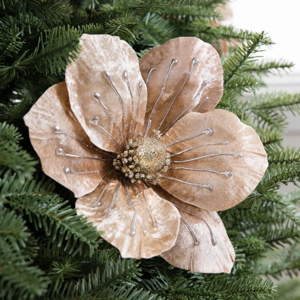 Champagne Magnolia Picks